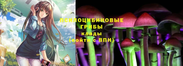 стаф Вяземский