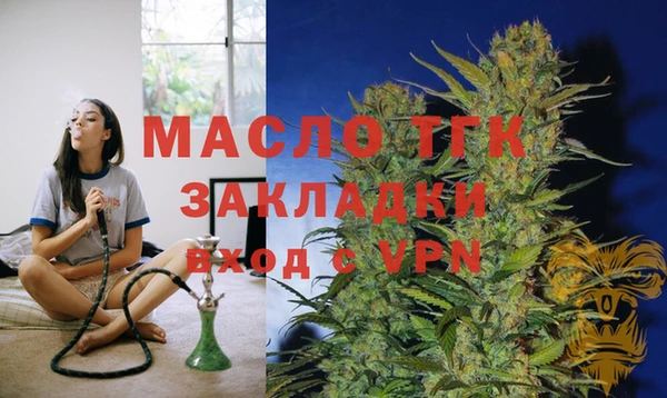 стаф Вяземский