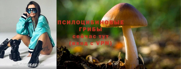 mix Вязьма