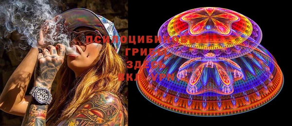 стаф Вяземский