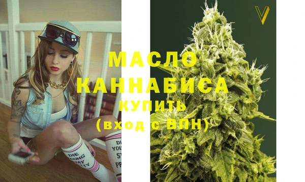 стаф Вяземский