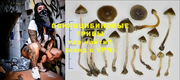 стаф Вяземский