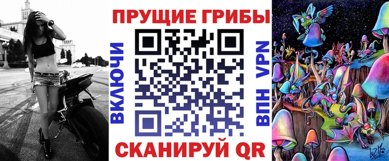 даркнет официальный сайт  Кущёвская  Псилоцибиновые грибы Magic Shrooms  сколько стоит 